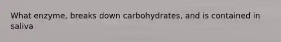 What enzyme, breaks down carbohydrates, and is contained in saliva