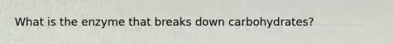 What is the enzyme that breaks down carbohydrates?
