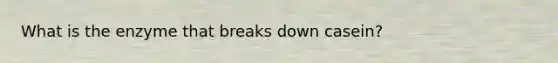 What is the enzyme that breaks down casein?