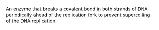 An enzyme that breaks a covalent bond in both strands of DNA periodically ahead of the replication fork to prevent supercoiling of the DNA replication.