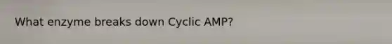 What enzyme breaks down <a href='https://www.questionai.com/knowledge/kMzVv8LvKb-cyclic-amp' class='anchor-knowledge'>cyclic amp</a>?