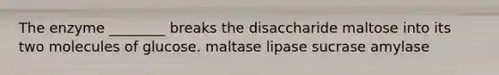 The enzyme ________ breaks the disaccharide maltose into its two molecules of glucose. maltase lipase sucrase amylase