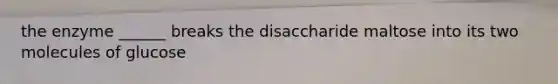 the enzyme ______ breaks the disaccharide maltose into its two molecules of glucose