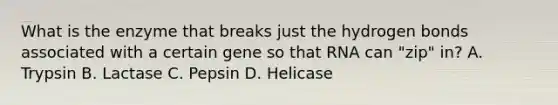 What is the enzyme that breaks just the hydrogen bonds associated with a certain gene so that RNA can "zip" in? A. Trypsin B. Lactase C. Pepsin D. Helicase