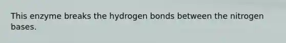 This enzyme breaks the hydrogen bonds between the nitrogen bases.