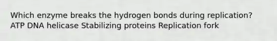 Which enzyme breaks the hydrogen bonds during replication? ATP DNA helicase Stabilizing proteins Replication fork