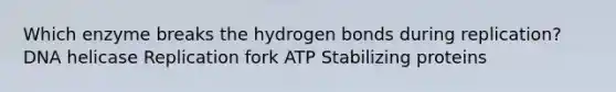 Which enzyme breaks the hydrogen bonds during replication? DNA helicase Replication fork ATP Stabilizing proteins