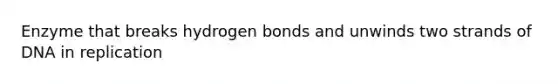 Enzyme that breaks hydrogen bonds and unwinds two strands of DNA in replication