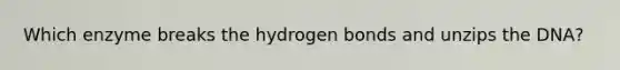 Which enzyme breaks the hydrogen bonds and unzips the DNA?