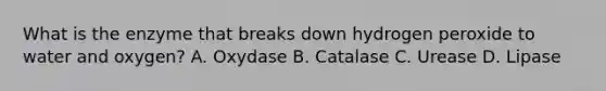 What is the enzyme that breaks down hydrogen peroxide to water and oxygen? A. Oxydase B. Catalase C. Urease D. Lipase