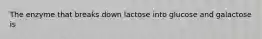 The enzyme that breaks down lactose into glucose and galactose is