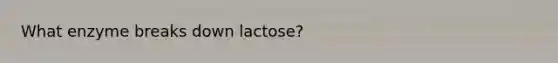 What enzyme breaks down lactose?