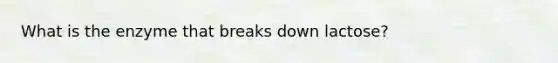 What is the enzyme that breaks down lactose?