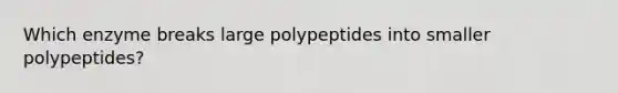 Which enzyme breaks large polypeptides into smaller polypeptides?