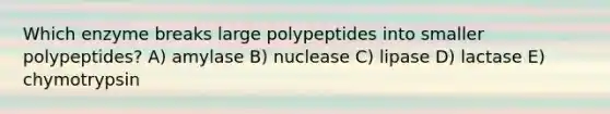 Which enzyme breaks large polypeptides into smaller polypeptides? A) amylase B) nuclease C) lipase D) lactase E) chymotrypsin