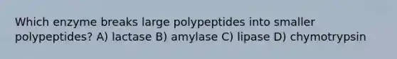 Which enzyme breaks large polypeptides into smaller polypeptides? A) lactase B) amylase C) lipase D) chymotrypsin