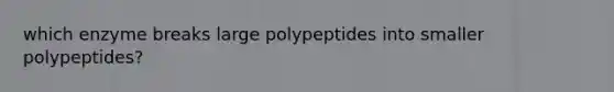 which enzyme breaks large polypeptides into smaller polypeptides?