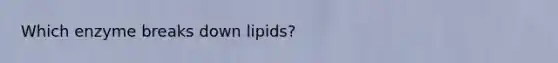 Which enzyme breaks down lipids?