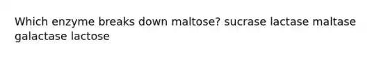 Which enzyme breaks down maltose? sucrase lactase maltase galactase lactose