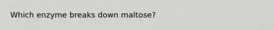 Which enzyme breaks down maltose?