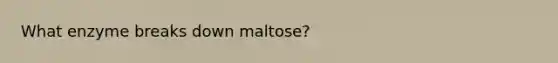 What enzyme breaks down maltose?