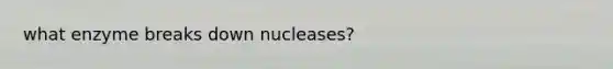 what enzyme breaks down nucleases?