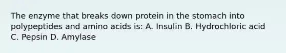 The enzyme that breaks down protein in the stomach into polypeptides and amino acids is: A. Insulin B. Hydrochloric acid C. Pepsin D. Amylase