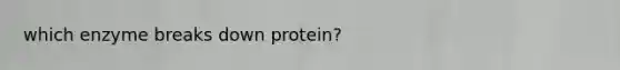 which enzyme breaks down protein?