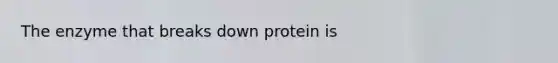 The enzyme that breaks down protein is