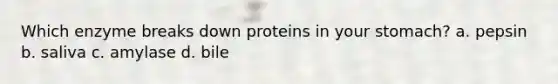 Which enzyme breaks down proteins in your stomach? a. pepsin b. saliva c. amylase d. bile