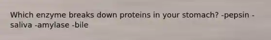 Which enzyme breaks down proteins in your stomach? -pepsin -saliva -amylase -bile