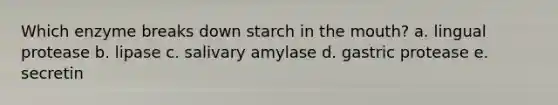 Which enzyme breaks down starch in the mouth? a. lingual protease b. lipase c. salivary amylase d. gastric protease e. secretin