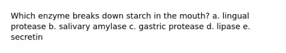 Which enzyme breaks down starch in the mouth? a. lingual protease b. salivary amylase c. gastric protease d. lipase e. secretin