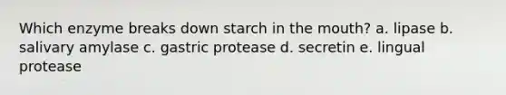 Which enzyme breaks down starch in the mouth? a. lipase b. salivary amylase c. gastric protease d. secretin e. lingual protease