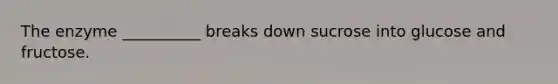 The enzyme __________ breaks down sucrose into glucose and fructose.