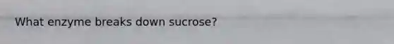 What enzyme breaks down sucrose?