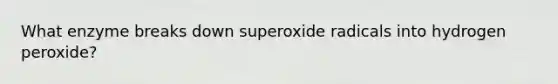 What enzyme breaks down superoxide radicals into hydrogen peroxide?