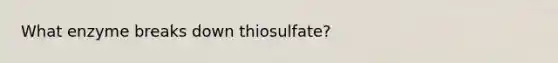 What enzyme breaks down thiosulfate?