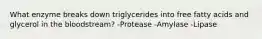 What enzyme breaks down triglycerides into free fatty acids and glycerol in the bloodstream? -Protease -Amylase -Lipase