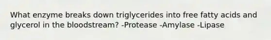 What enzyme breaks down triglycerides into free fatty acids and glycerol in the bloodstream? -Protease -Amylase -Lipase