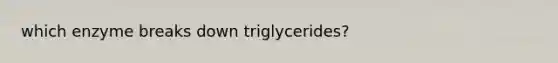 which enzyme breaks down triglycerides?