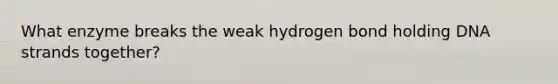 What enzyme breaks the weak hydrogen bond holding DNA strands together?