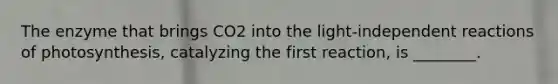 The enzyme that brings CO2 into the light-independent reactions of photosynthesis, catalyzing the first reaction, is ________.
