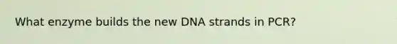 What enzyme builds the new DNA strands in PCR?