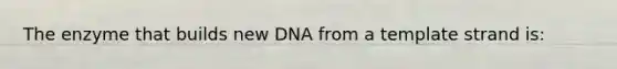 The enzyme that builds new DNA from a template strand is: