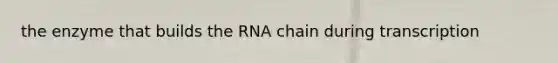 the enzyme that builds the RNA chain during transcription