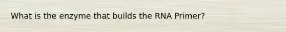 What is the enzyme that builds the RNA Primer?