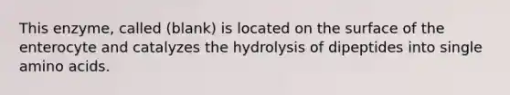 This enzyme, called (blank) is located on the surface of the enterocyte and catalyzes the hydrolysis of dipeptides into single amino acids.