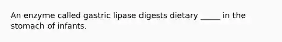 An enzyme called gastric lipase digests dietary _____ in the stomach of infants.