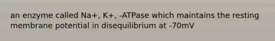 an enzyme called Na+, K+, -ATPase which maintains the resting membrane potential in disequilibrium at -70mV